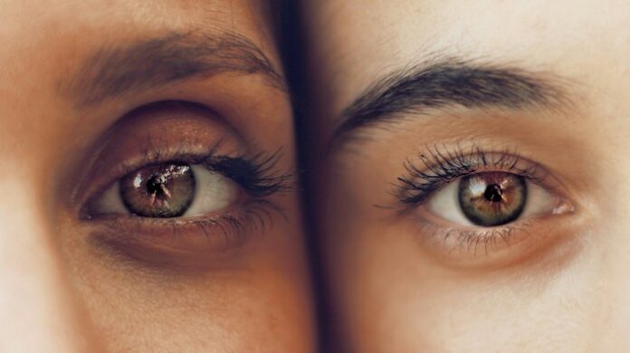 soroush-karimi-ZcczBXrkXgA-unsplash
