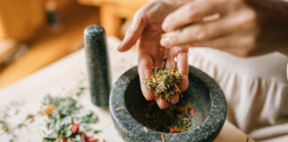 Using Plant Medicine