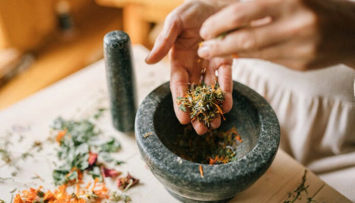pexels-yankrukov-5480150 Using Plant Medicine
