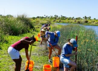 Volunteering Isn’t Free Work; It’s Giving Back To Our Community