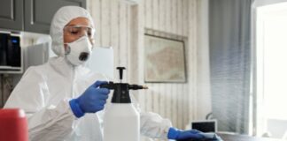 Person Spraying After Mouse Infestation