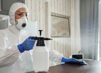 Person Spraying After Mouse Infestation