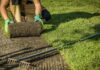 Person Laying Landscaping Grass
