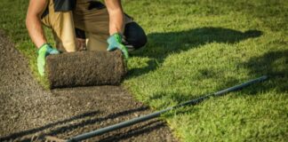 Person Laying Landscaping Grass