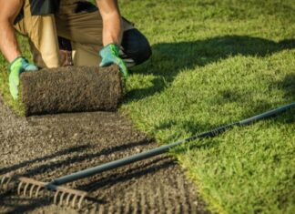 Person Laying Landscaping Grass