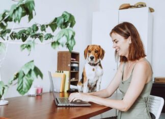 10 Legit Ways I Have Made Real Money From Home Woman Making Money From Home