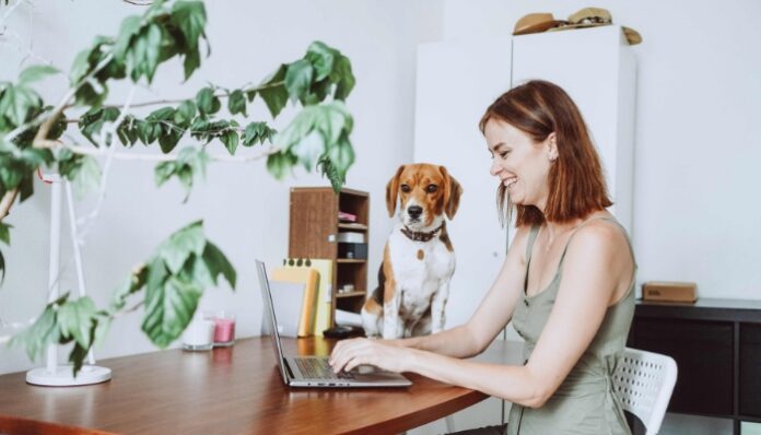Work From Home Woman Making Money From Home