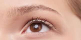 Close Up of Eye Brown