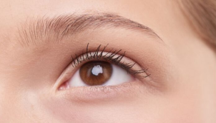 Close Up of Eye Brown