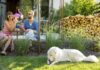 Couple in Backyard With Dog