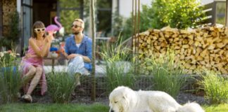 Couple in Backyard With Dog
