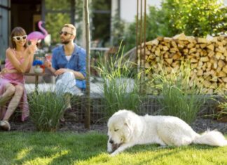 How I Created My Backyard Sanctuary On A Budget Couple in Backyard With Dog