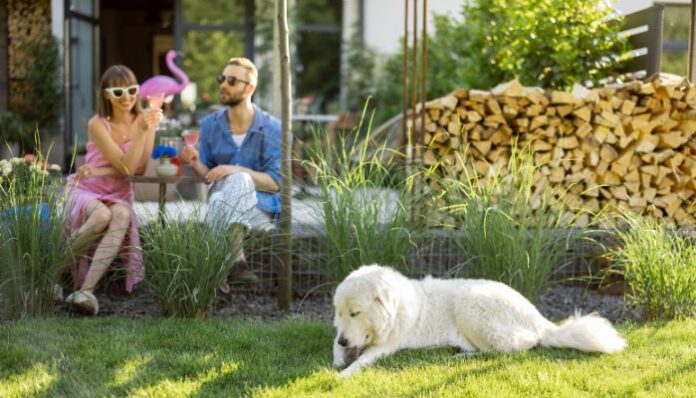 Couple in Backyard With Dog