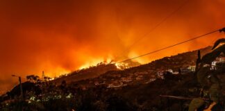 wildfires