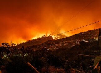 wildfires