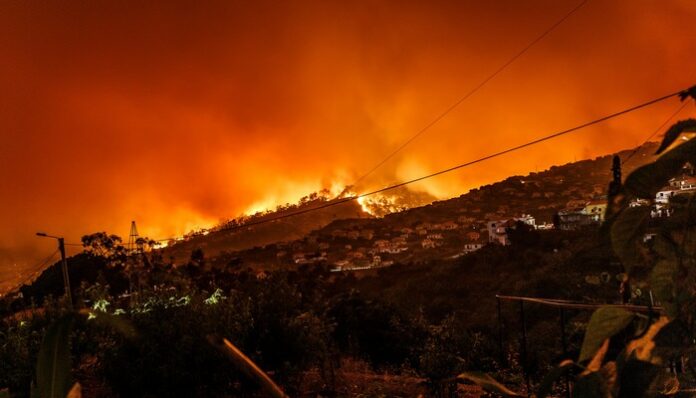 wildfires