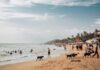 People Enjoying Beach on Goa