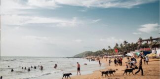 People Enjoying Beach on Goa