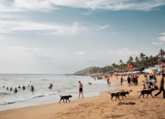 People Enjoying Beach on Goa