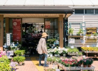 Top 12 Best Online Flower Shops in Toronto