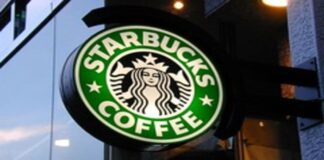starbucks bearista cup