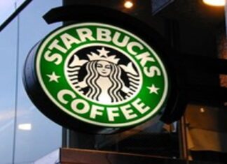 starbucks bearista cup