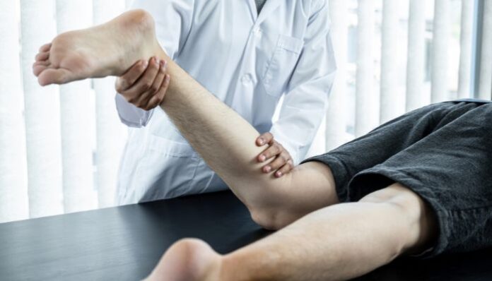 Dog Bite Recovery
