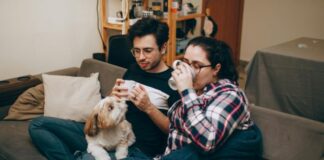 Practical Strategies For Managing Pet Allergies