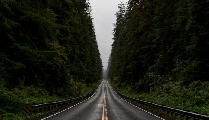 joe-gardner-86T4OpohLTI-unsplash