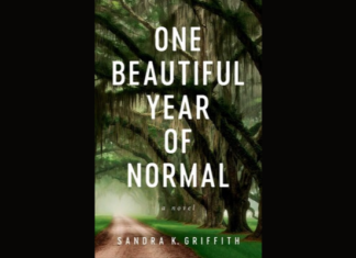 Don’t Miss The Next Best Suspense Book: One Beautiful Year of Normal