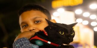 How Adopting a Cat Can Help Your Autistic Child Thrive autistic child