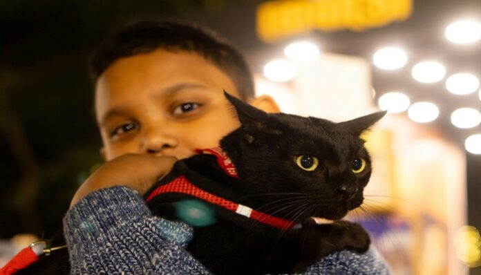 ashraful-islam-9cp0-H-hT-U-unsplash (2) (1) autistic child