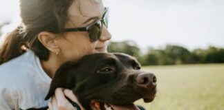 pet