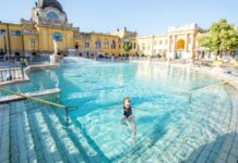 Woman Swimming in Budapest