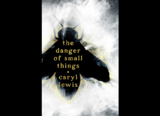 ‘The Danger of Small Things’ Book Review: Flawed But Decent