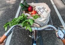 5 Simple Wellness Habits That Fit Into Your Daily Life