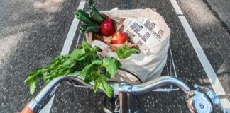 5 Simple Wellness Habits That Fit Into Your Daily Life