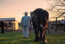 How Raising Animals Taught Me Self-Acceptance As A Gay Man gay acceptance