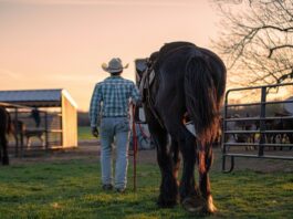 How Raising Animals Taught Me Self-Acceptance As A Gay Man gay acceptance