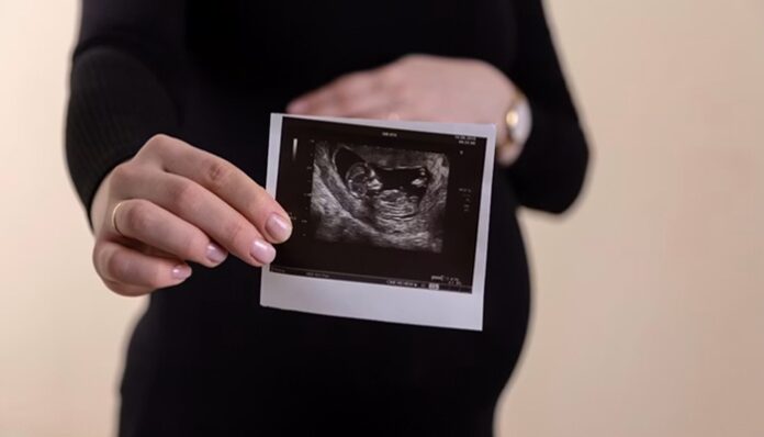 pregnancy