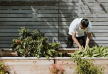 7 Outdoor Cleaning Jobs I Always Put Off