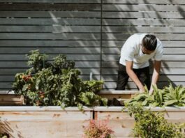 7 Outdoor Cleaning Jobs I Always Put Off