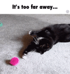 http://img.ifcdn.com/images/62ae674ab766f1932f4e458460aecfd04161760315684bf21429f82fec3d4ca3_1.gif