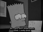 Bart tried he really tried