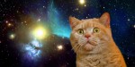 Cat In Space Gif