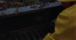GIF1