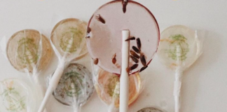 These Lollipops Turn Into Plants In The Coolest Way Possible