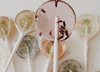 These Lollipops Turn Into Plants In The Coolest Way Possible