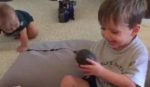 avocado_3419533b