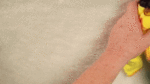 baby bat GIF-source